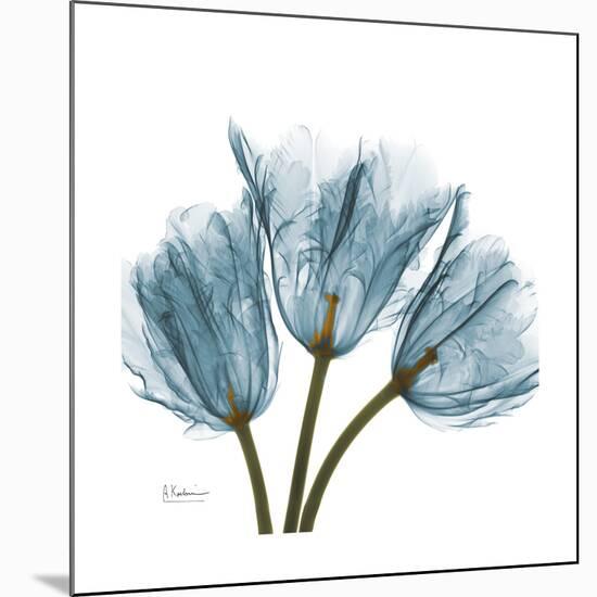 Tulips Blue-Albert Koetsier-Mounted Premium Giclee Print