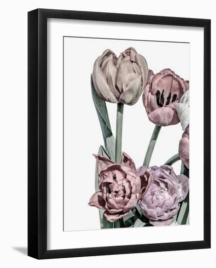 Tulips Bright 2-Design Fabrikken-Framed Photographic Print