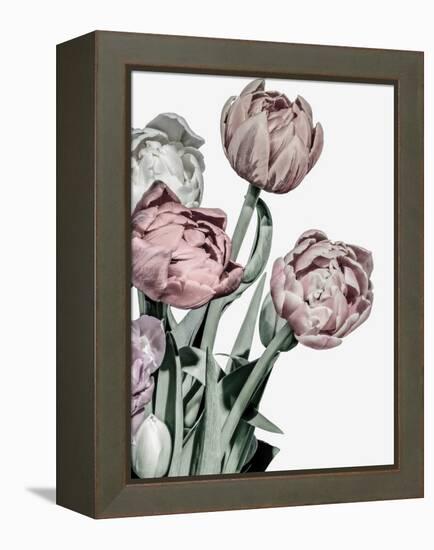 Tulips Bright-Design Fabrikken-Framed Premier Image Canvas