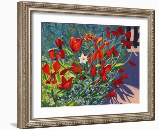 Tulips by the Gate, 2017-Andrew Macara-Framed Giclee Print