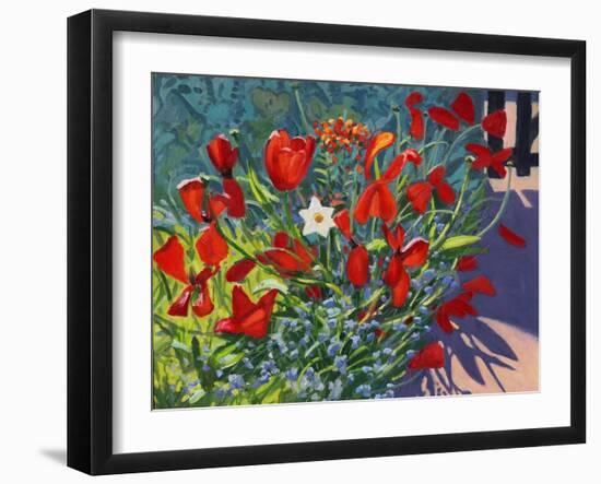 Tulips by the Gate, 2017-Andrew Macara-Framed Giclee Print