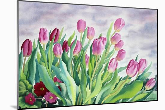 Tulips by Window-Christopher Ryland-Mounted Giclee Print