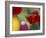 Tulips, Cache Valley, Utah, USA-Scott T. Smith-Framed Photographic Print