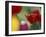 Tulips, Cache Valley, Utah, USA-Scott T. Smith-Framed Photographic Print