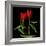 Tulips Embracing-Magda Indigo-Framed Photographic Print