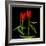 Tulips Embracing-Magda Indigo-Framed Photographic Print