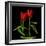 Tulips Embracing-Magda Indigo-Framed Photographic Print