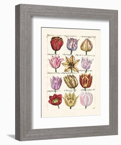 Tulips en Masse I-null-Framed Art Print