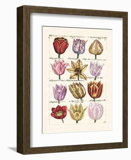 Tulips en Masse I-null-Framed Art Print