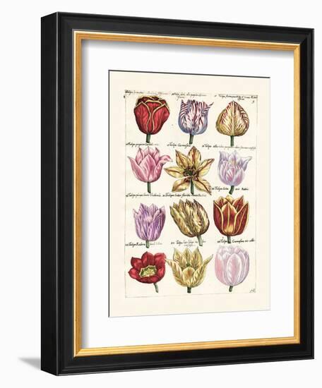 Tulips en Masse I-null-Framed Art Print