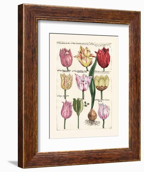 Tulips en Masse II-null-Framed Art Print