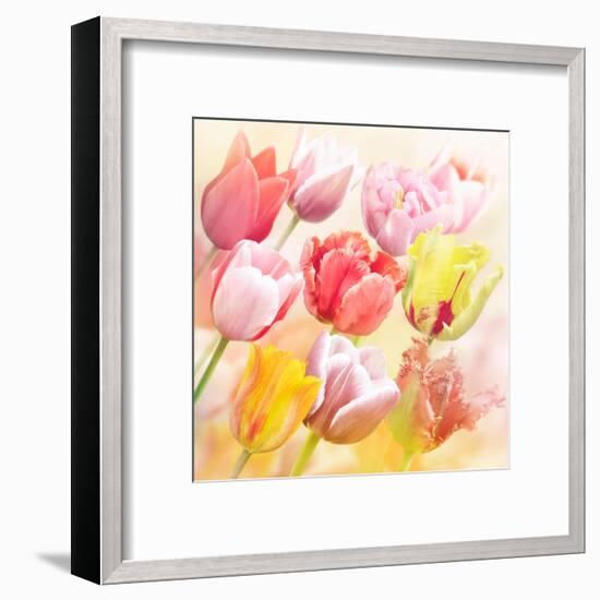 Tulips Flowers Close Up for-Svetlana Foote-Framed Art Print