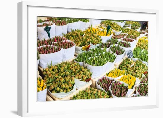 Tulips for Sale in the Bloemenmarkt, the Floating Flower Market, Amsterdam, Netherlands, Europe-Amanda Hall-Framed Photographic Print