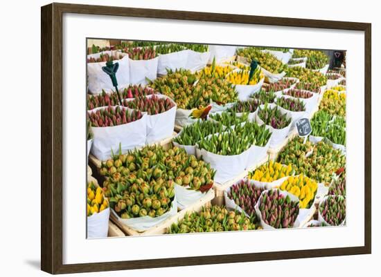 Tulips for Sale in the Bloemenmarkt, the Floating Flower Market, Amsterdam, Netherlands, Europe-Amanda Hall-Framed Photographic Print