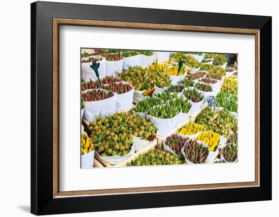 Tulips for Sale in the Bloemenmarkt, the Floating Flower Market, Amsterdam, Netherlands, Europe-Amanda Hall-Framed Photographic Print