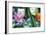 Tulips Four-Robert Goldwitz-Framed Photographic Print