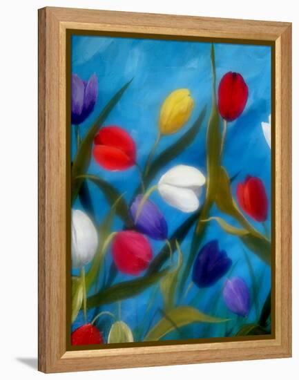 Tulips Galore III-Ruth Palmer 2-Framed Stretched Canvas