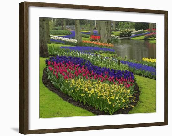 Tulips, Grape Hyacinth and Daffodils, Keukenhof Gardens, Lisse, Netherlands-Adam Jones-Framed Photographic Print