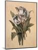 Tulips I-Jill Deveraux-Mounted Art Print