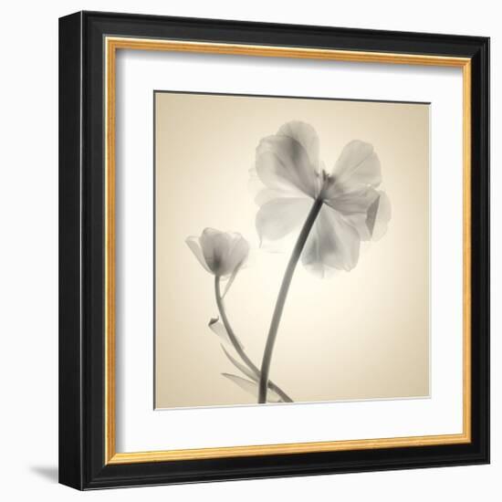 Tulips II-Judy Stalus-Framed Art Print