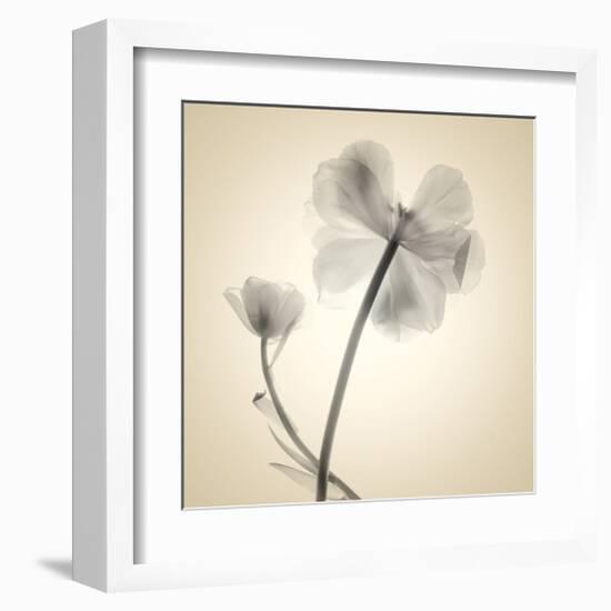 Tulips II-Judy Stalus-Framed Art Print