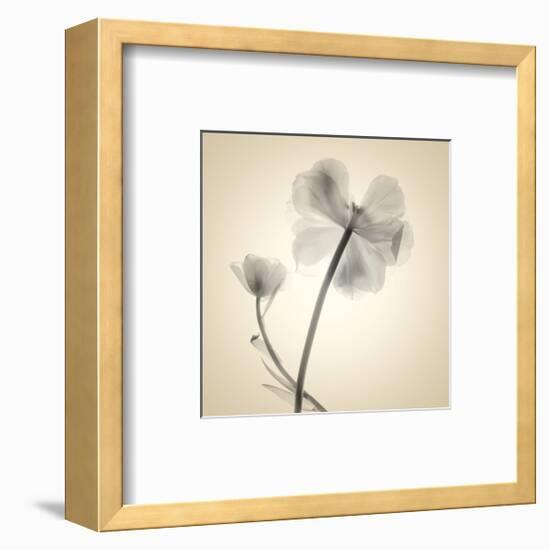 Tulips II-Judy Stalus-Framed Art Print