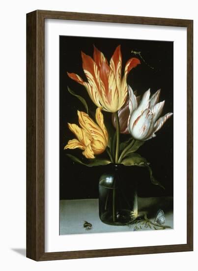 Tulips in a Glass Vase-Ambrosius Bosschaert the Elder-Framed Giclee Print