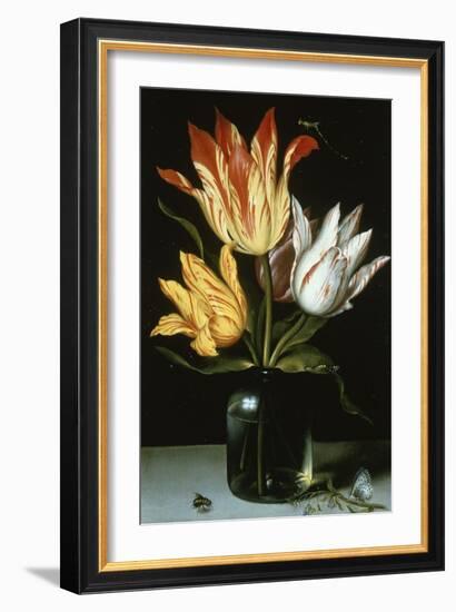 Tulips in a Glass Vase-Ambrosius Bosschaert the Elder-Framed Giclee Print