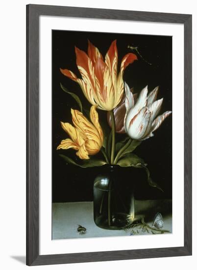 Tulips in a Glass Vase-Ambrosius Bosschaert the Elder-Framed Giclee Print