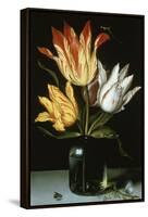 Tulips in a Glass Vase-Ambrosius Bosschaert the Elder-Framed Premier Image Canvas