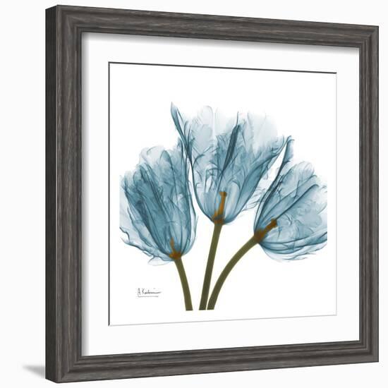 Tulips in Blue-Albert Koetsier-Framed Art Print