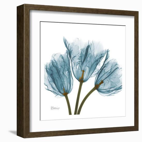 Tulips in Blue-Albert Koetsier-Framed Art Print