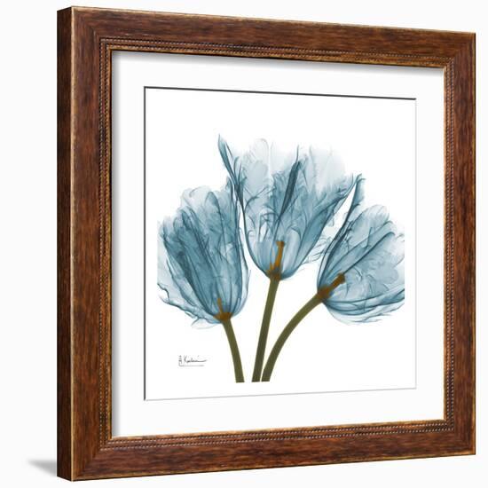 Tulips in Blue-Albert Koetsier-Framed Art Print