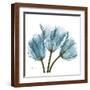 Tulips in Blue-Albert Koetsier-Framed Art Print