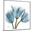 Tulips in Blue-Albert Koetsier-Mounted Art Print