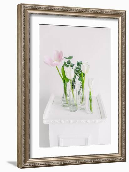 Tulips in Bottles on White Background Studio-Ihor Kopakov-Framed Photographic Print