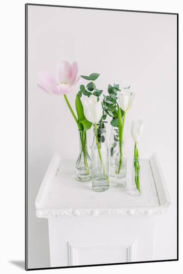 Tulips in Bottles on White Background Studio-Ihor Kopakov-Mounted Photographic Print