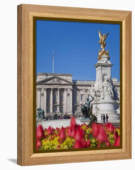 Tulips in Front of Buckingham Palace and Victoria Memorial, London, England, United Kingdom, Europe-Jane Sweeney-Framed Premier Image Canvas