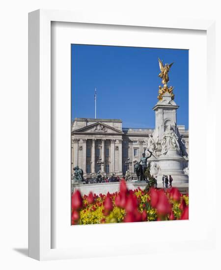 Tulips in Front of Buckingham Palace and Victoria Memorial, London, England, United Kingdom, Europe-Jane Sweeney-Framed Photographic Print