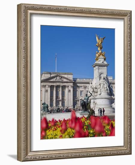 Tulips in Front of Buckingham Palace and Victoria Memorial, London, England, United Kingdom, Europe-Jane Sweeney-Framed Photographic Print