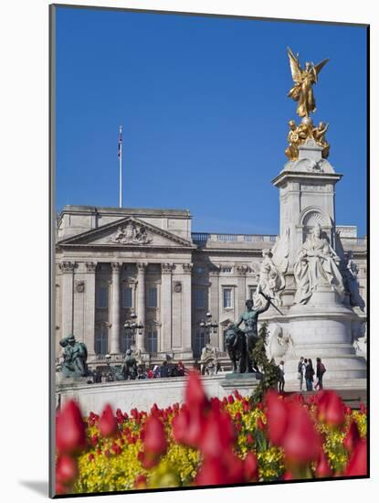 Tulips in Front of Buckingham Palace and Victoria Memorial, London, England, United Kingdom, Europe-Jane Sweeney-Mounted Photographic Print