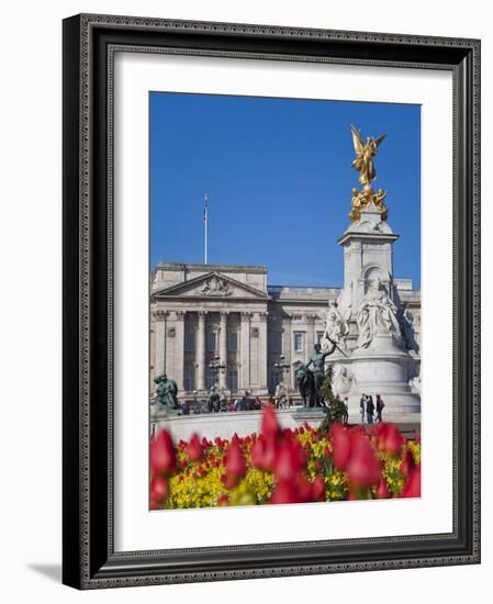 Tulips in Front of Buckingham Palace and Victoria Memorial, London, England, United Kingdom, Europe-Jane Sweeney-Framed Photographic Print