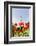 Tulips in Front of Television Tower, Hamburg, Germany, Europe-Axel Schmies-Framed Photographic Print