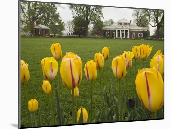 Tulips in Garden of Monticello, Virginia, USA-Merrill Images-Mounted Photographic Print