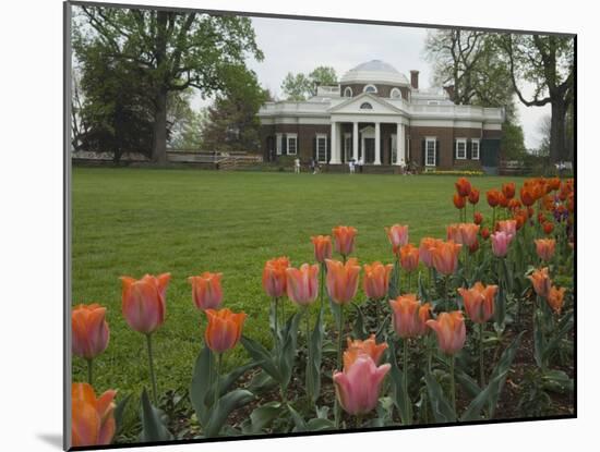 Tulips in Garden of Monticello, Virginia, USA-Merrill Images-Mounted Photographic Print