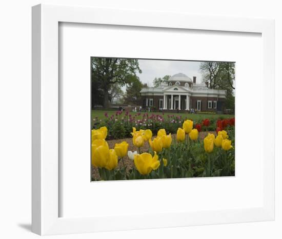 Tulips in Garden of Monticello, Virginia, USA-Merrill Images-Framed Photographic Print