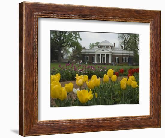 Tulips in Garden of Monticello, Virginia, USA-Merrill Images-Framed Photographic Print