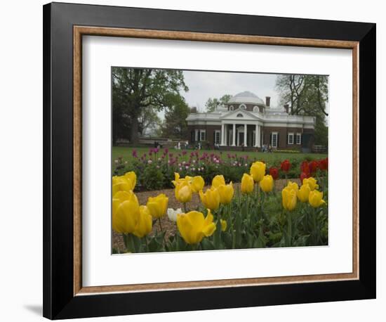 Tulips in Garden of Monticello, Virginia, USA-Merrill Images-Framed Photographic Print