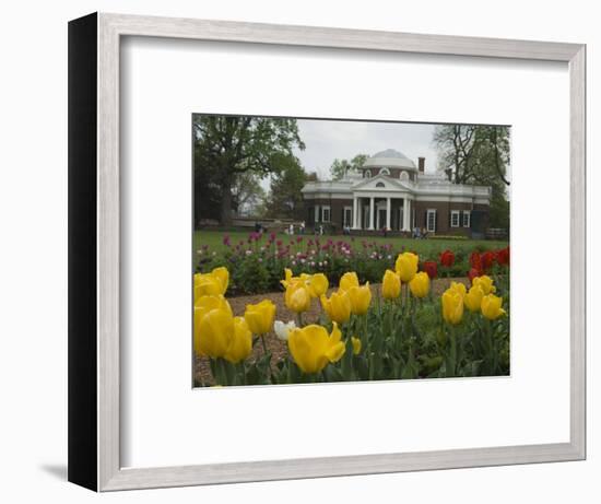 Tulips in Garden of Monticello, Virginia, USA-Merrill Images-Framed Photographic Print