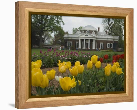 Tulips in Garden of Monticello, Virginia, USA-Merrill Images-Framed Premier Image Canvas